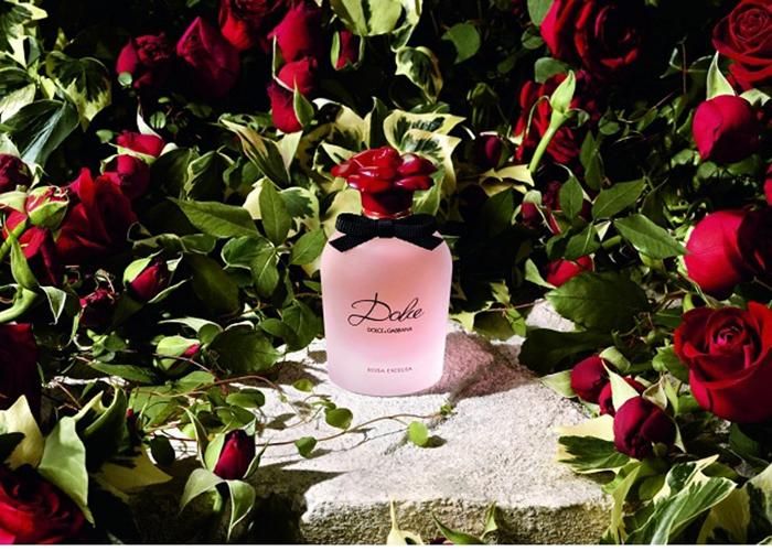 Lịch sử nước hoa Dolce Rosa Excelsa